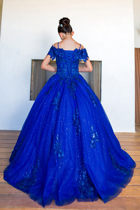 Girls Bliss Sweetheart Sequin Glitter Lace Train Ball Gown 2-16